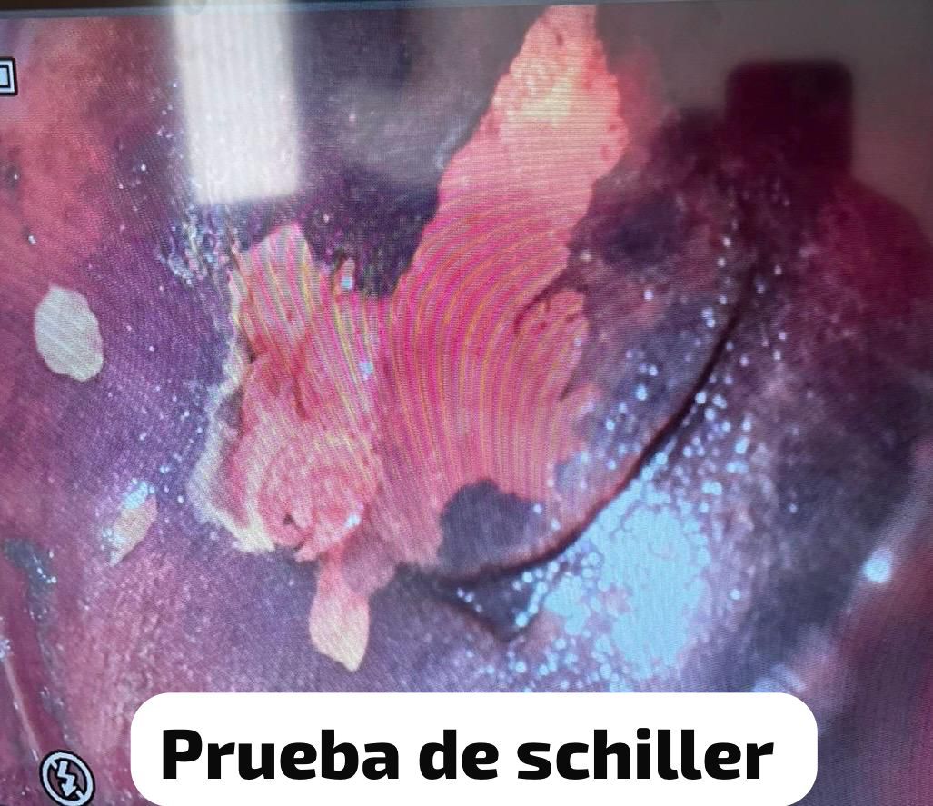 Sandra Faviola Dávila Molina-3