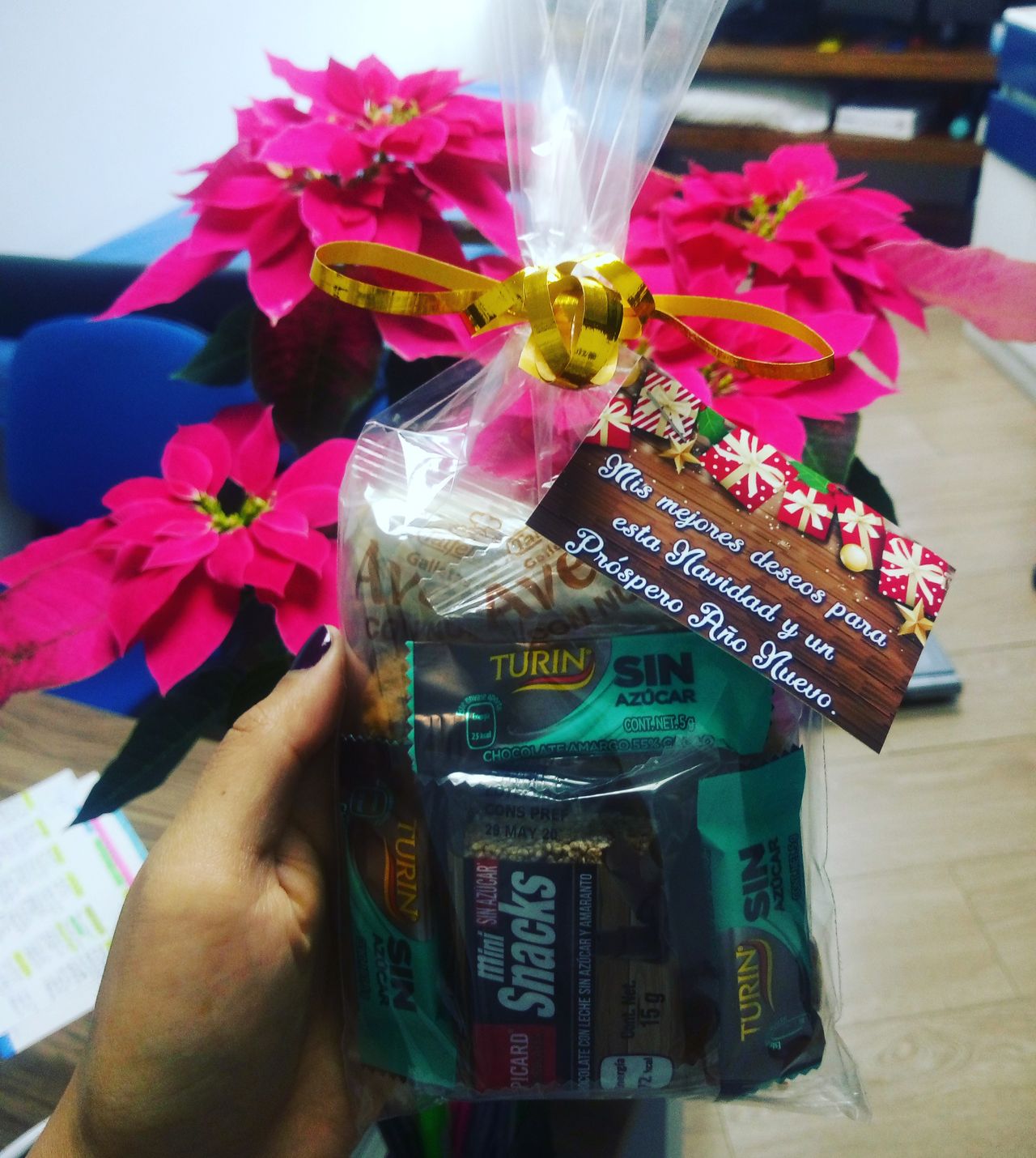 Danya Paola Martínez Castellanos-12