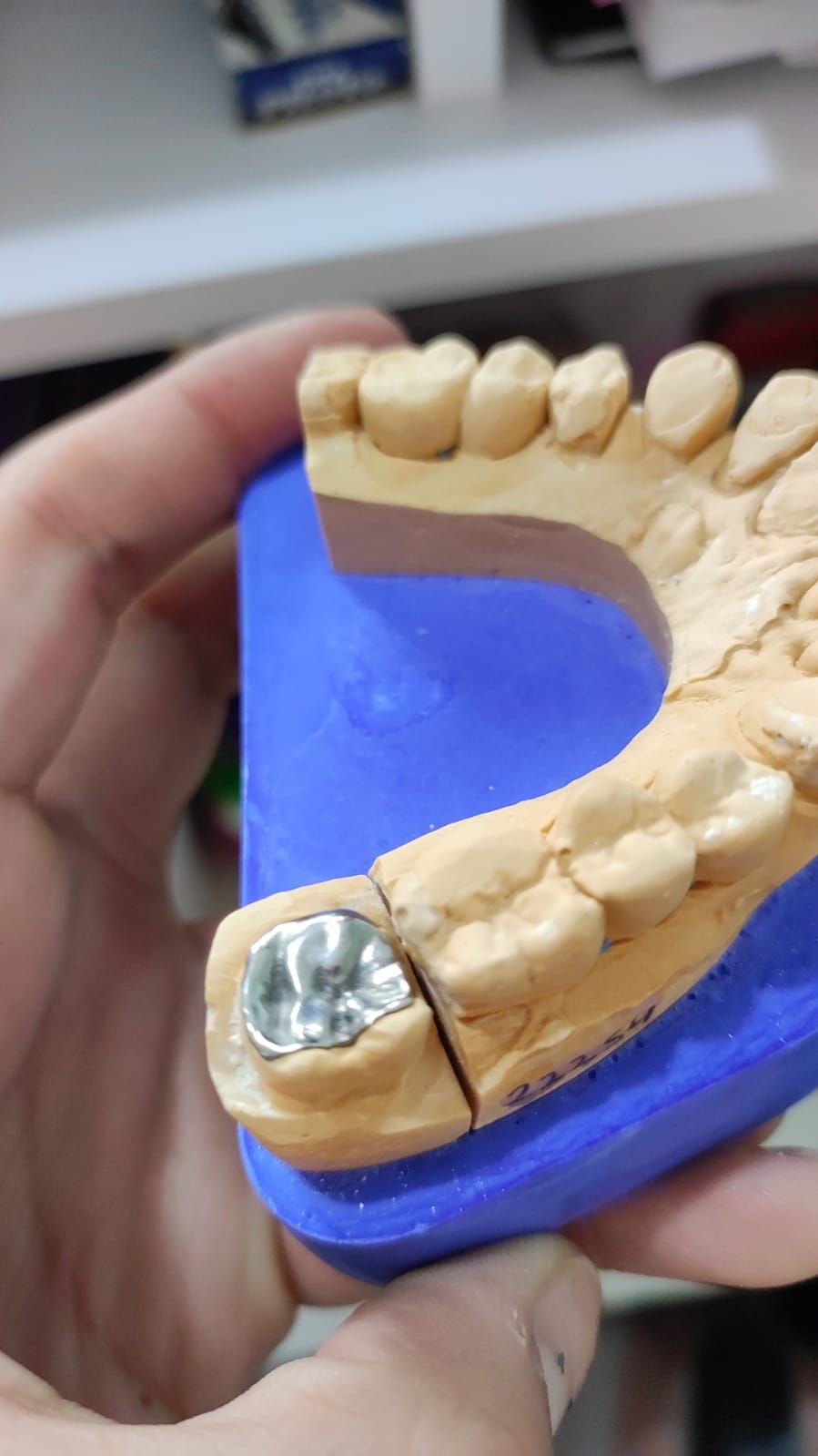 Karla I. Martinez Sosa-16