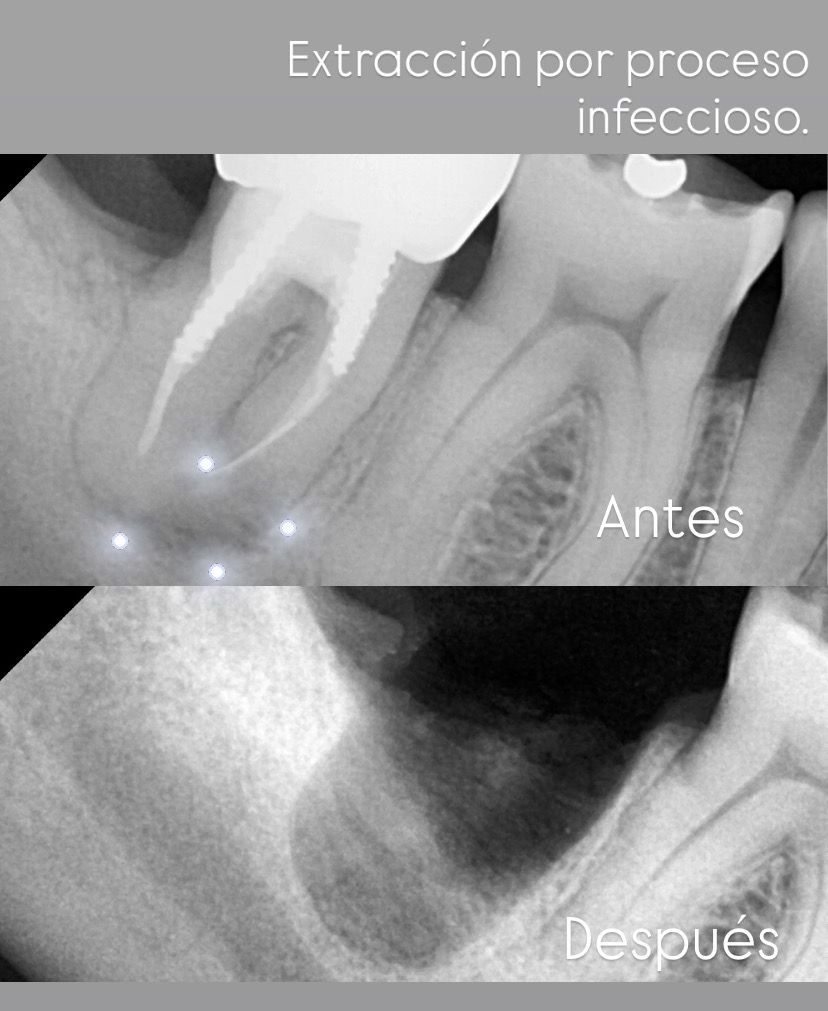 Francisco Jose Vives Serrano-37