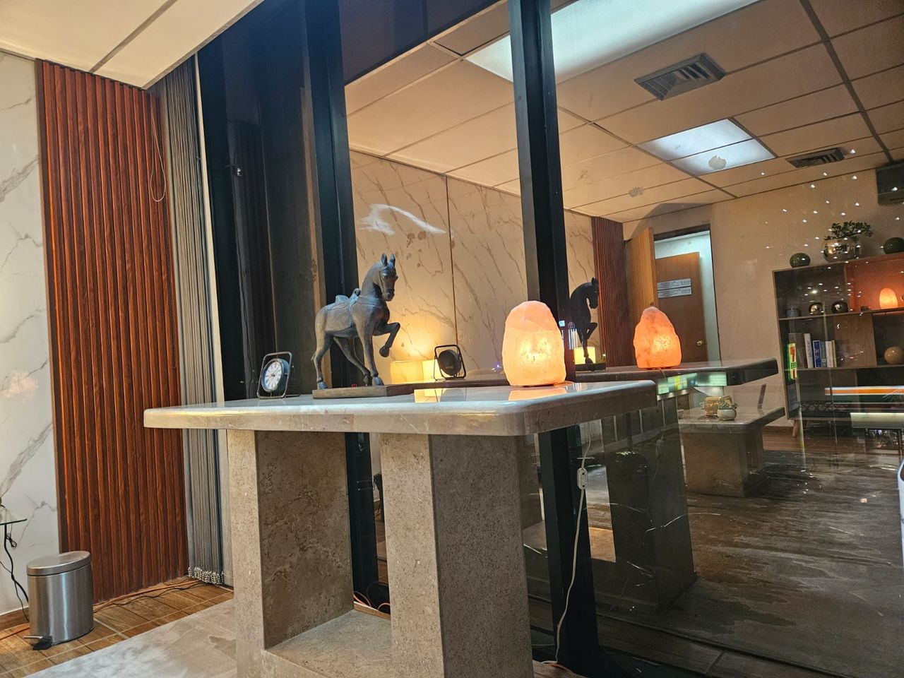 Laura López De Arriaga Candiani-24