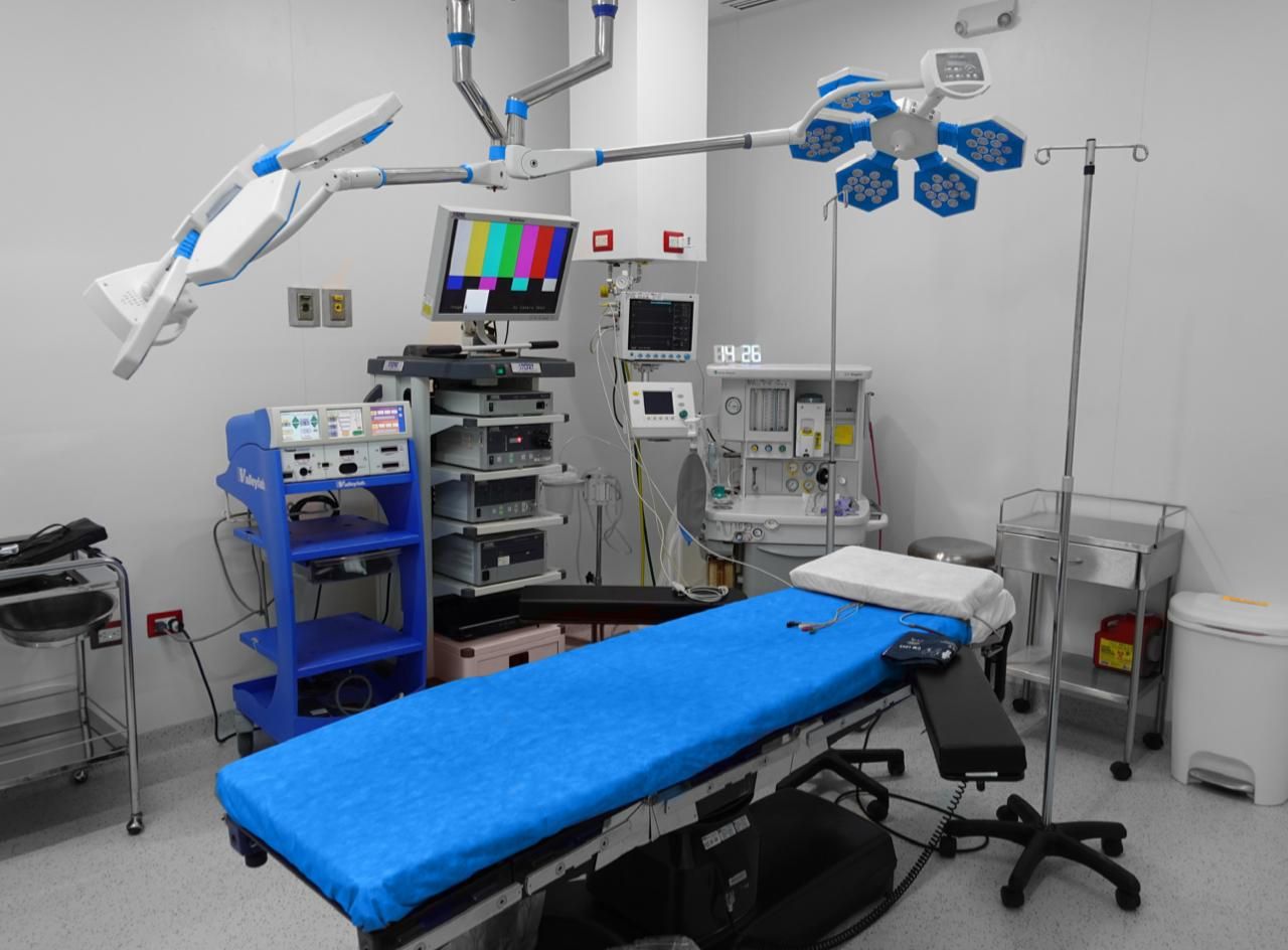 Paola Hernández Rosales-17