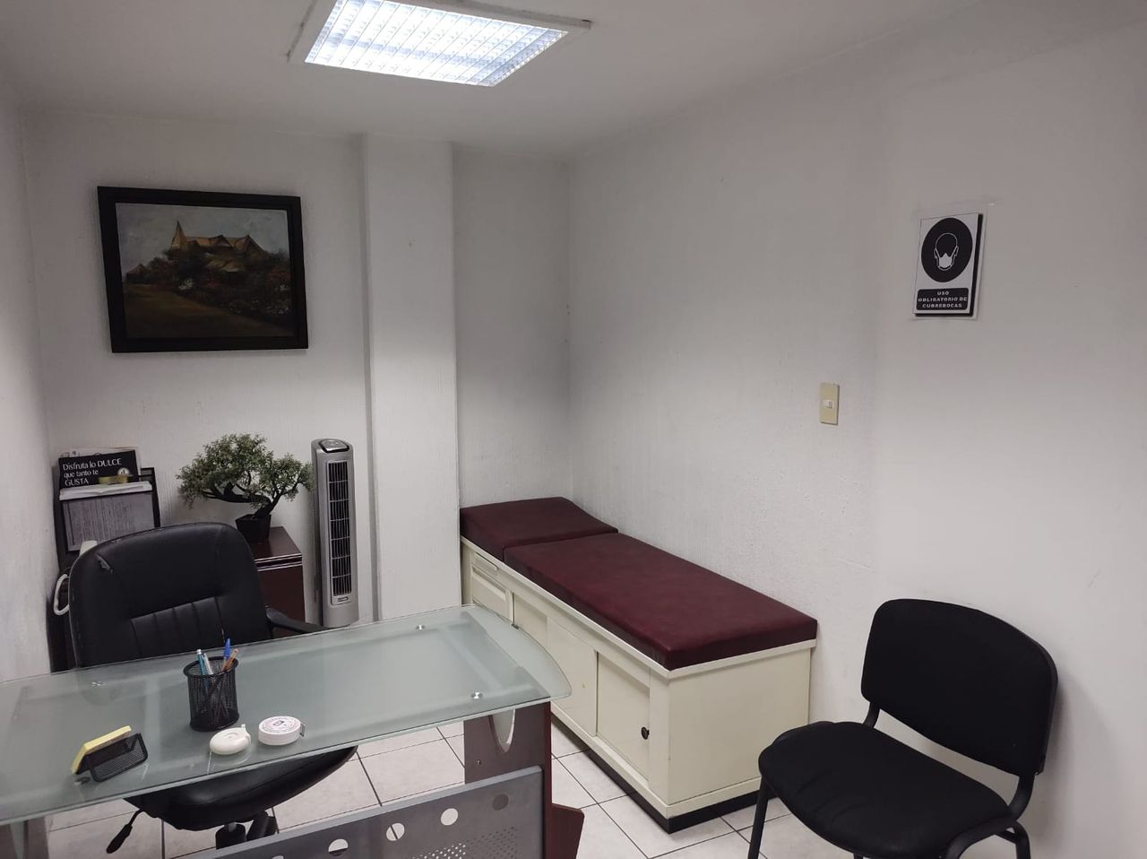 María De Los Ángeles Mendiola Roa-1