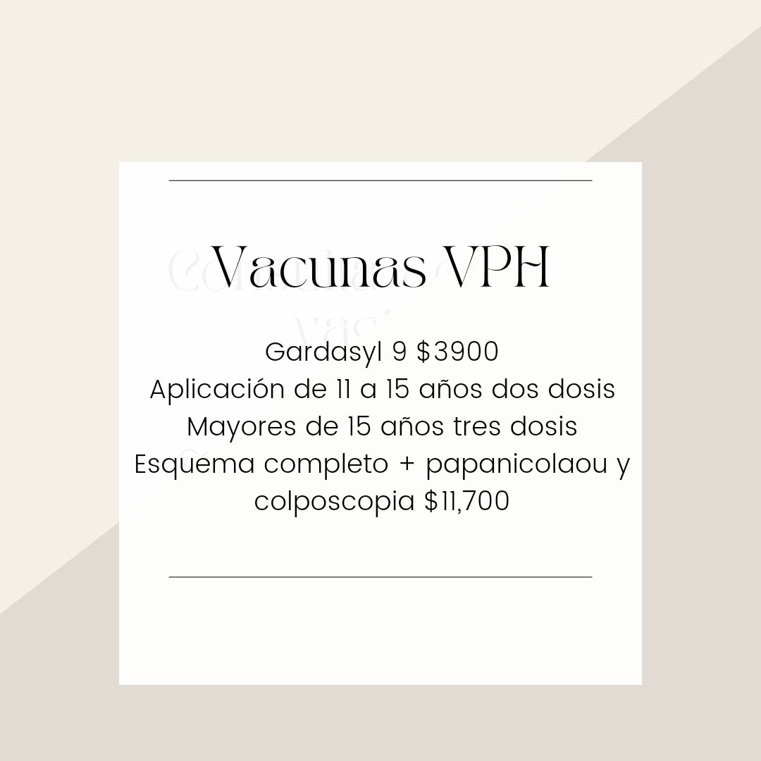 María José Rodríguez Gutiérrez-11