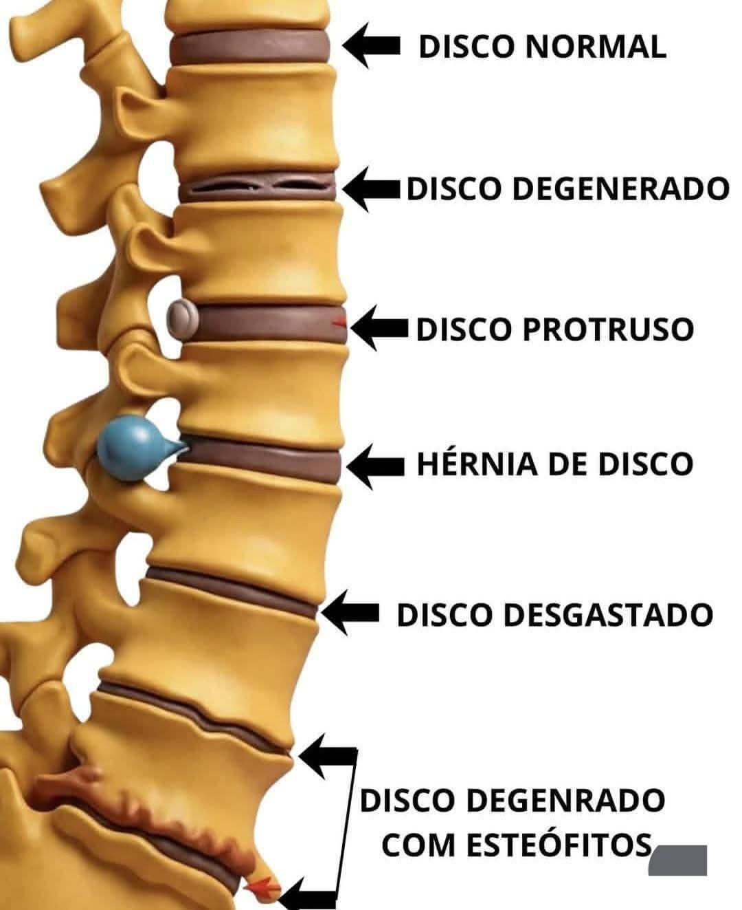 Omar De La Rocha Torres-0