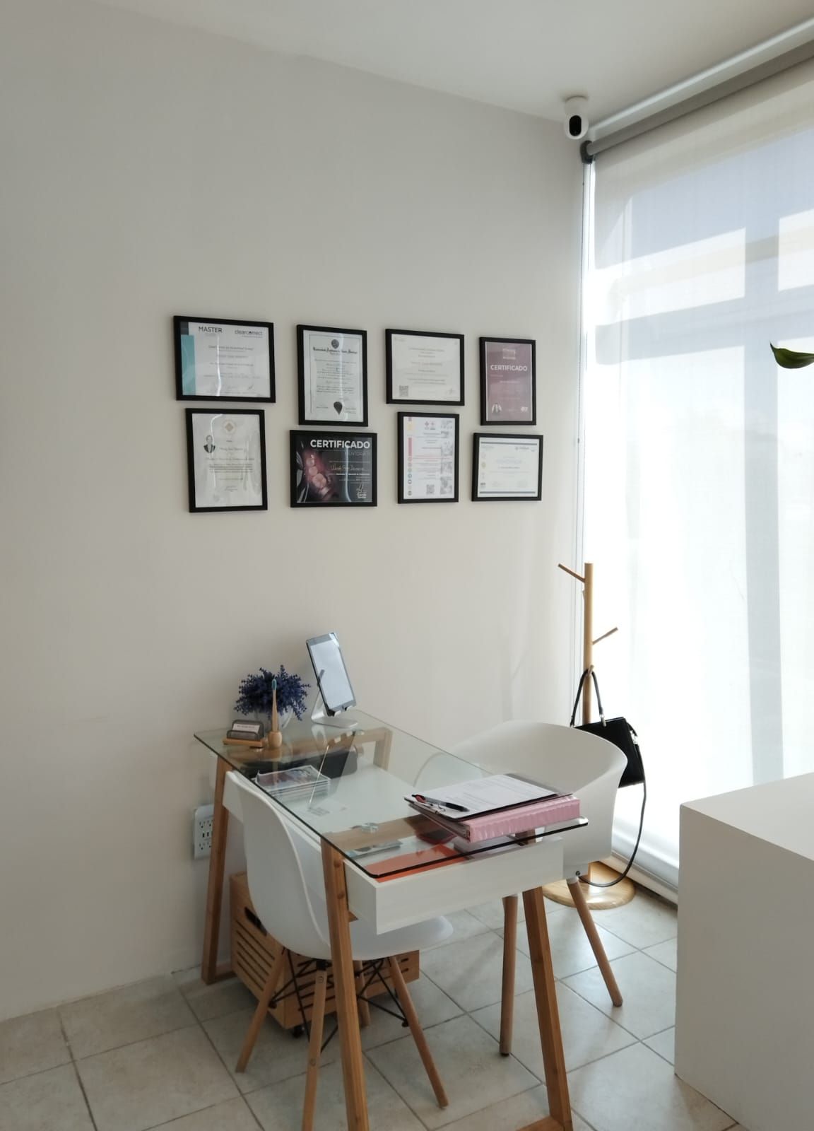 Wendy Sosa Demorizi-5