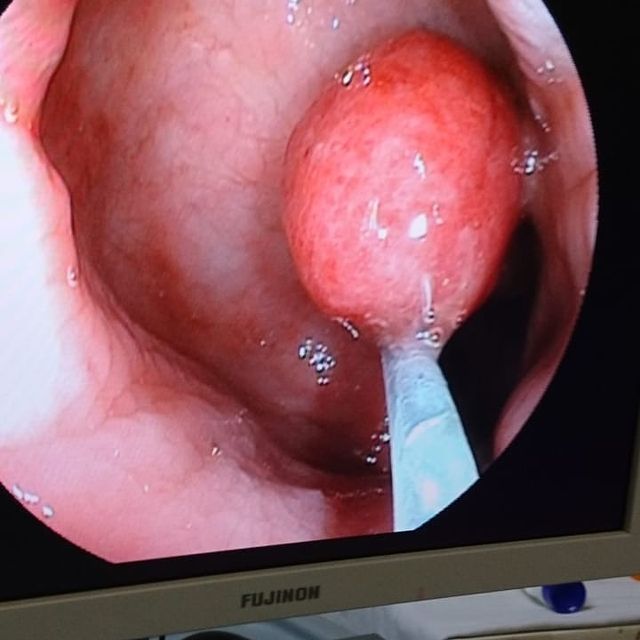 Rodrigo Monroy Carvajal-4