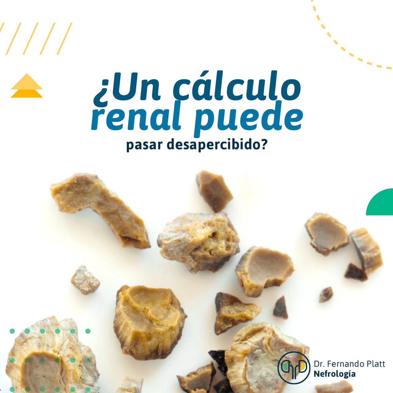 Fernando Platt Soto-7