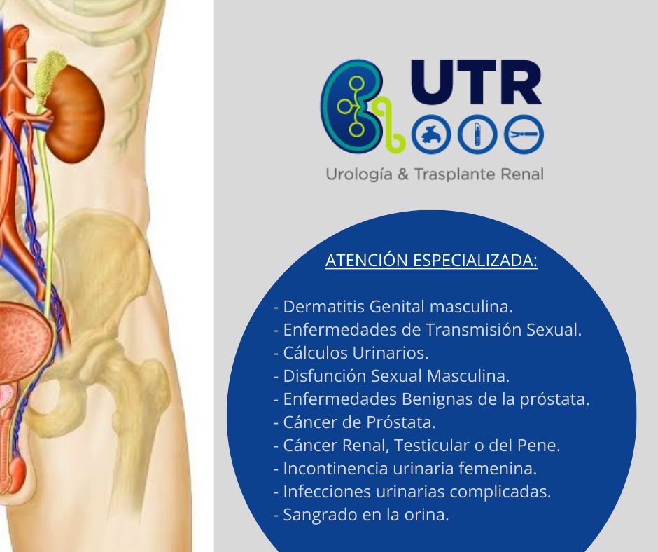 José Miguel Huerta Cervantes-3