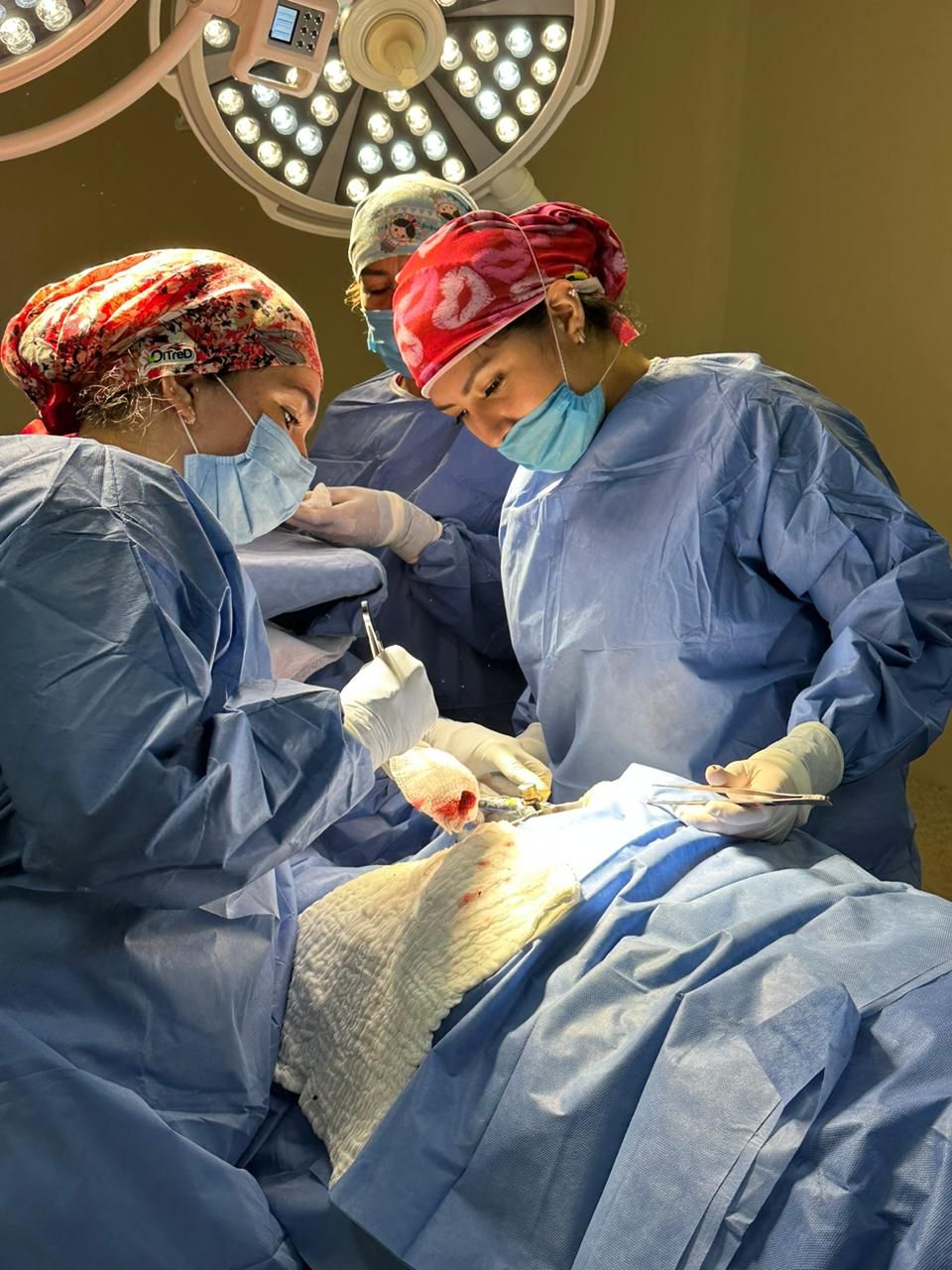 Alejandra Garcia Anzures-2