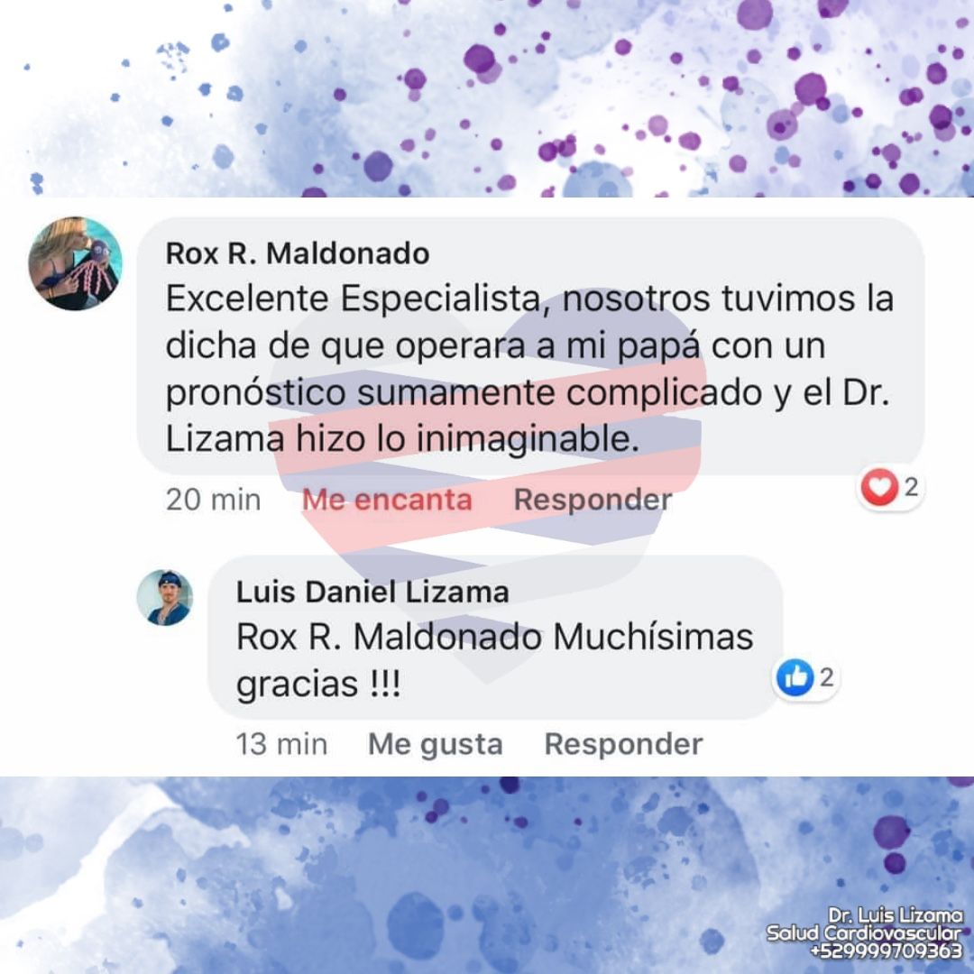 Luis Daniel Lizama Rodrí­guez-38
