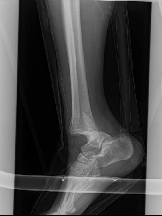 Salvador Medina Garnica-9