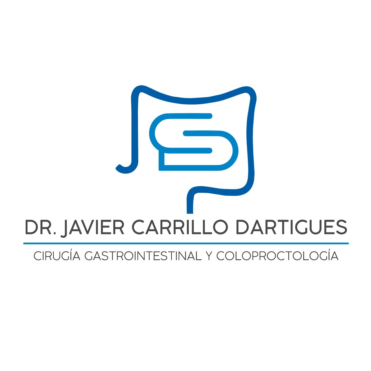 Javier Carrillo Dartigues-5