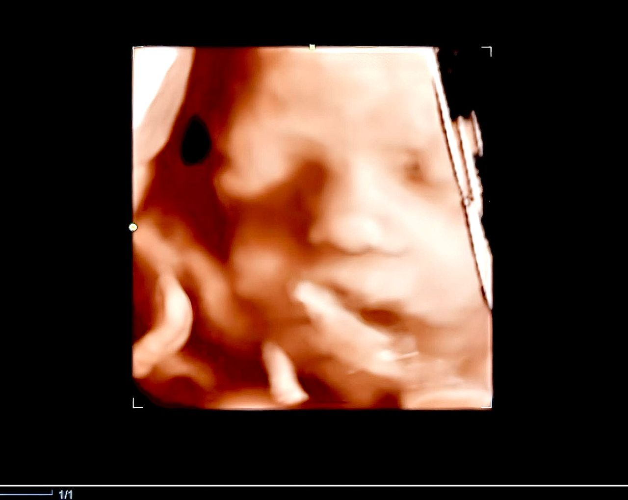 María Fernanda Sarabia Takashima-0