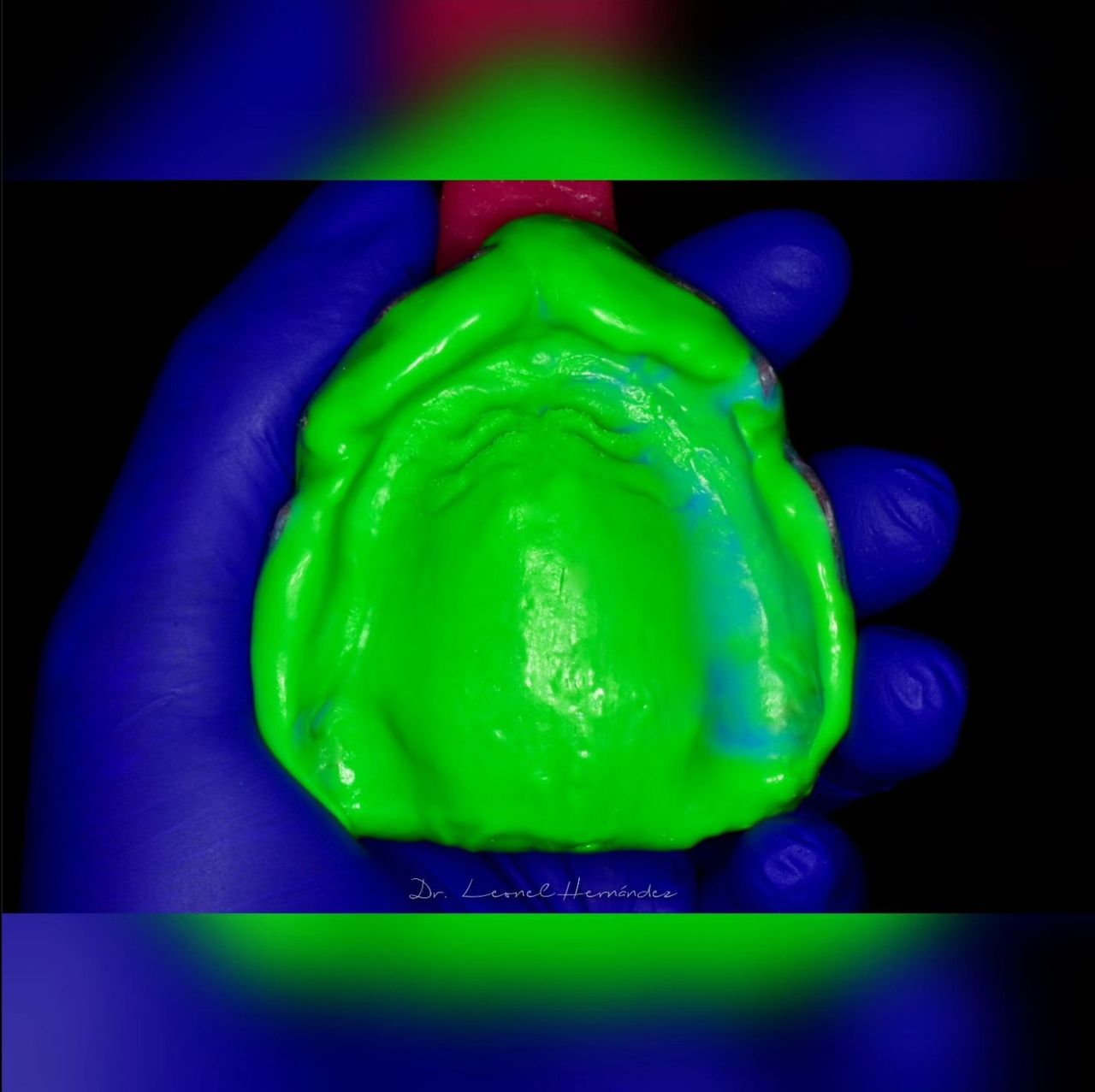 Leonel Hernández Gómez-12