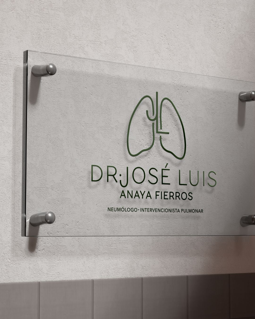 José Luis Anaya Fierros-2