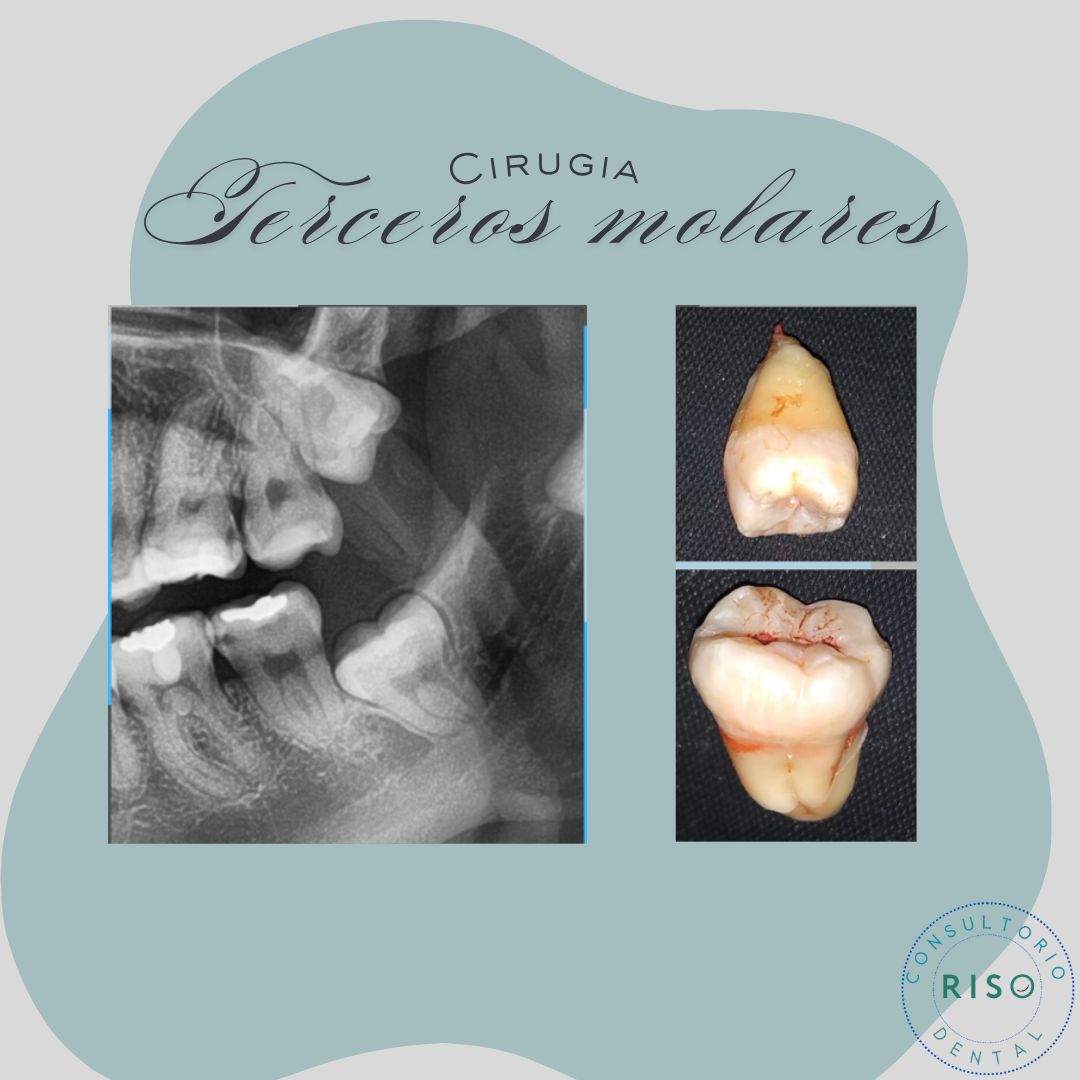 Cinthya García Sámano-24