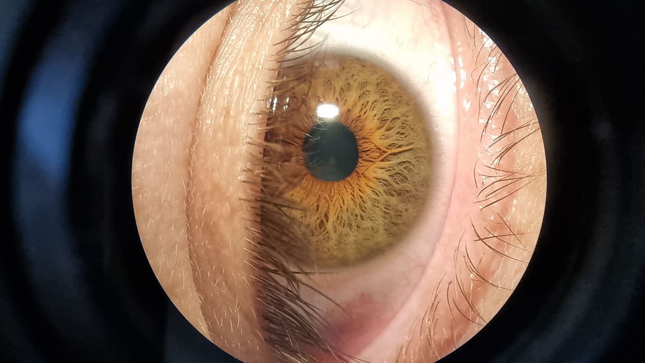 Iliana Peñaloza Román-2