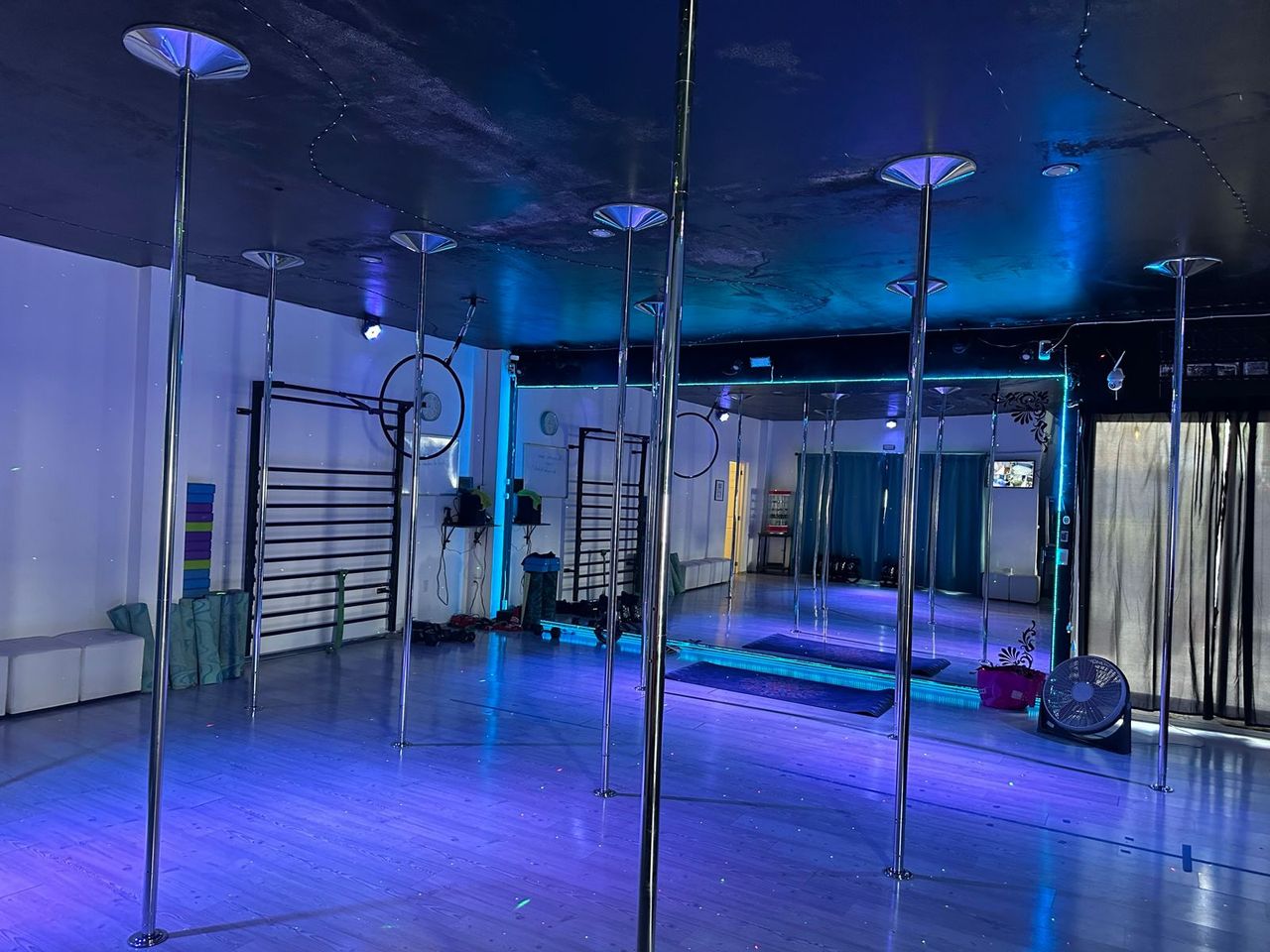 Fernando Pelaez Castañeda-15