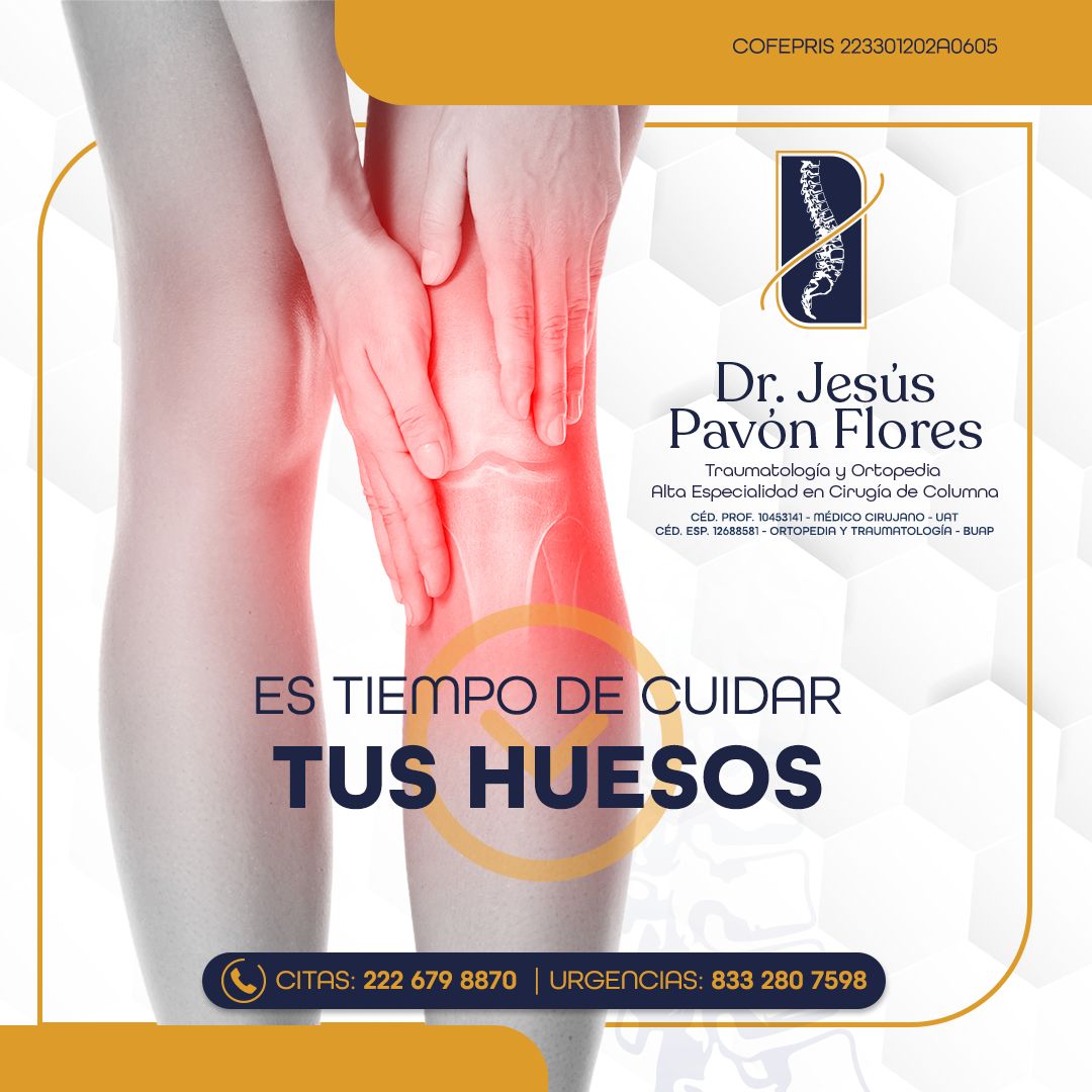 Jesús Pavón Flores-5