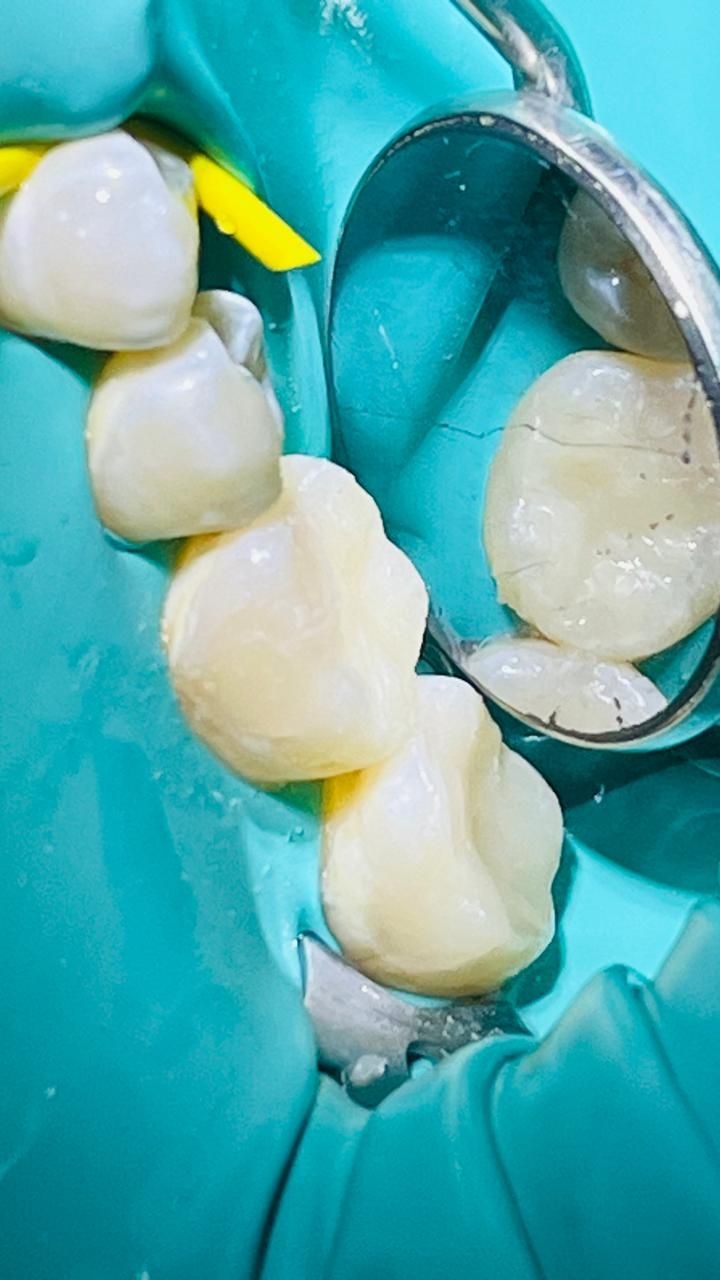 Rocio De La Aurora Carreón Vázquez-12