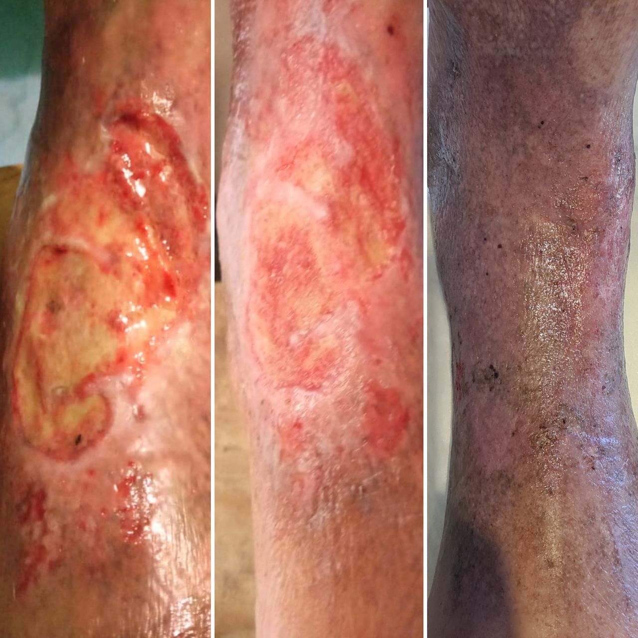 Daniela Y. Figueroa Oviedo-2