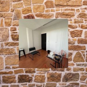 Diana Laura Mejia Serna-1