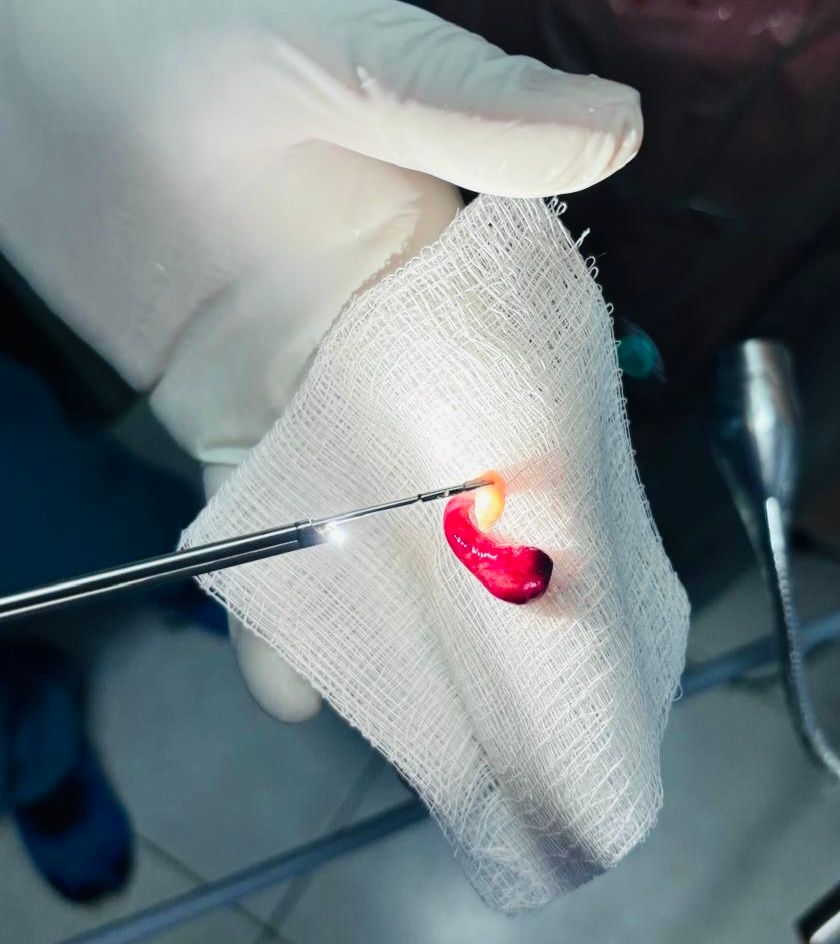 Ramón Mendoza Vázquez-27