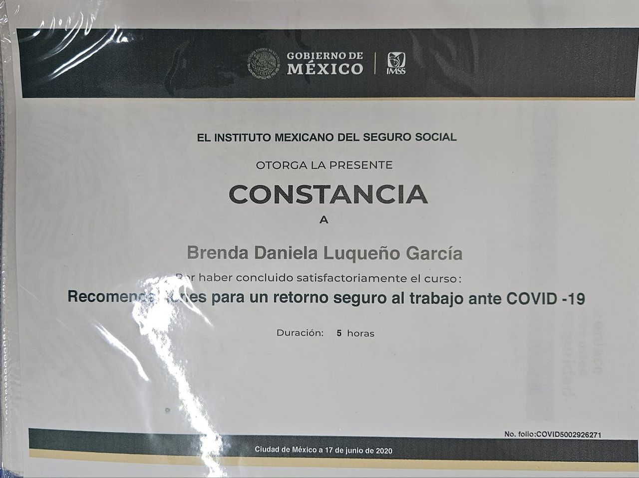 Brenda Daniela Luqueño García-3