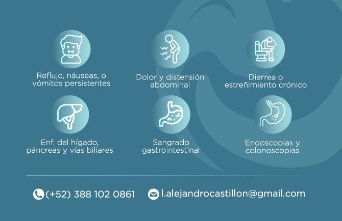 Luis Alejandro Castillón Carbajal-0