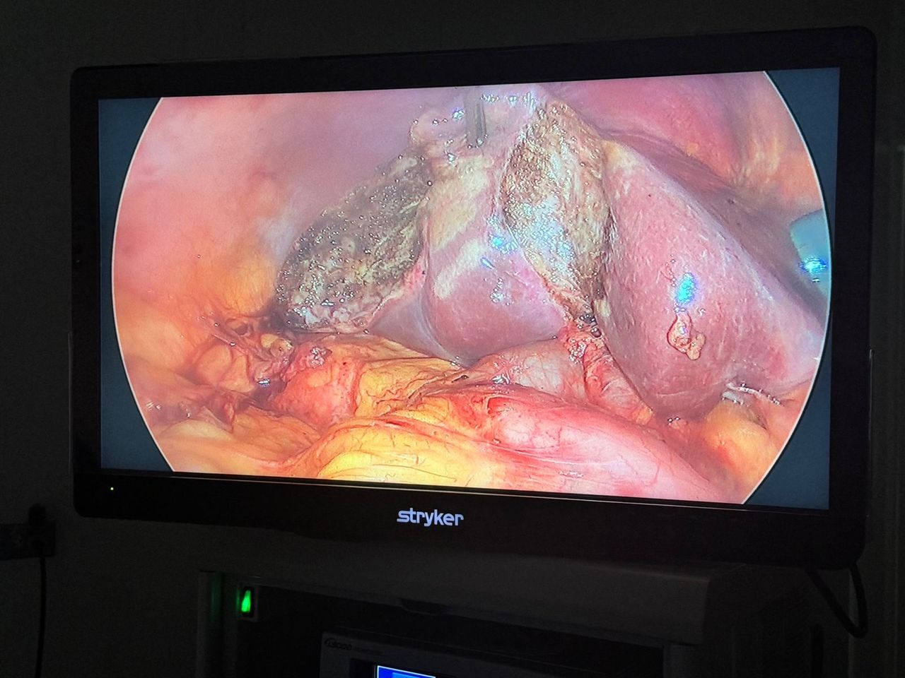 Enrique Aurelio Gutiérrez Bautista-8