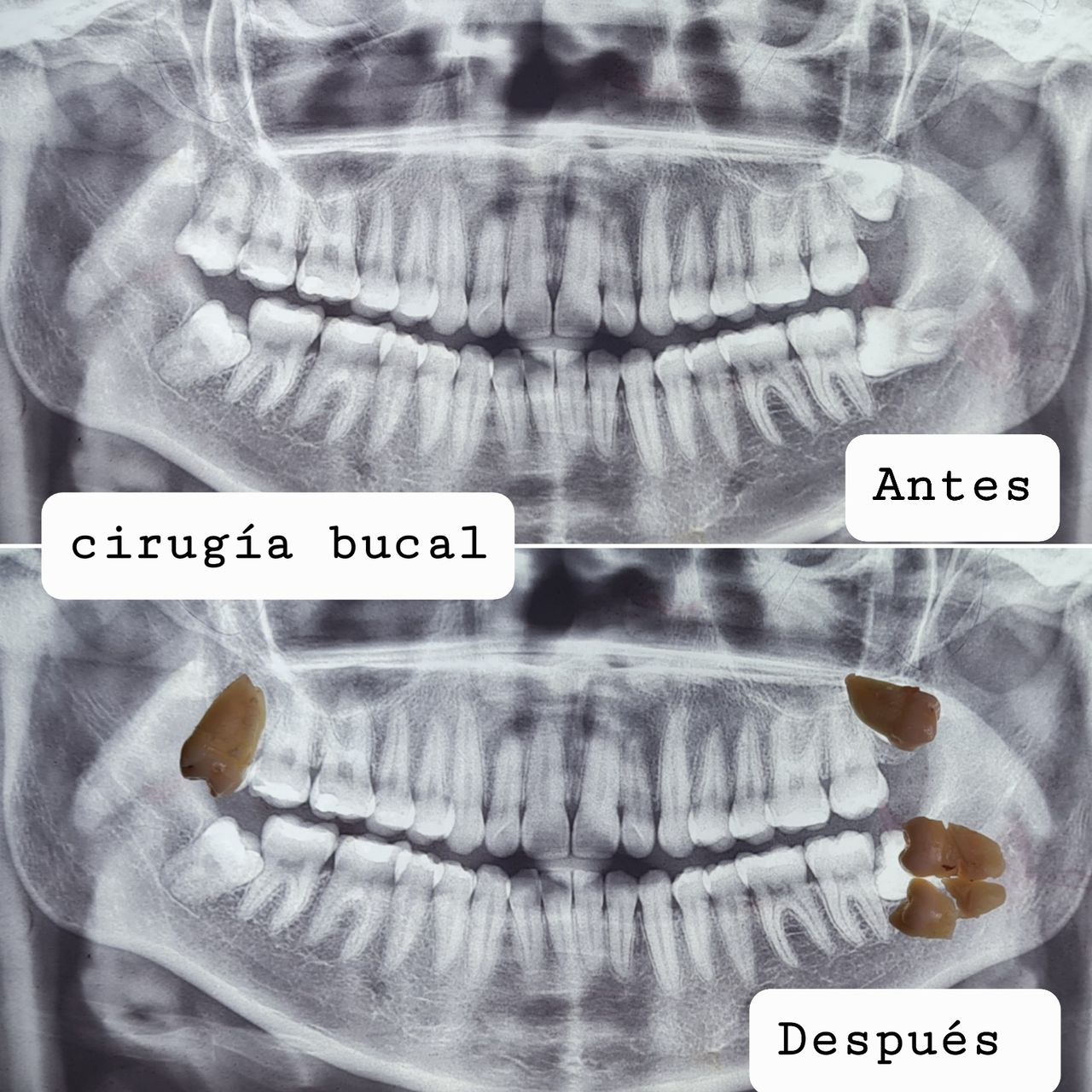 Aimée Quiroz Mendoza-67