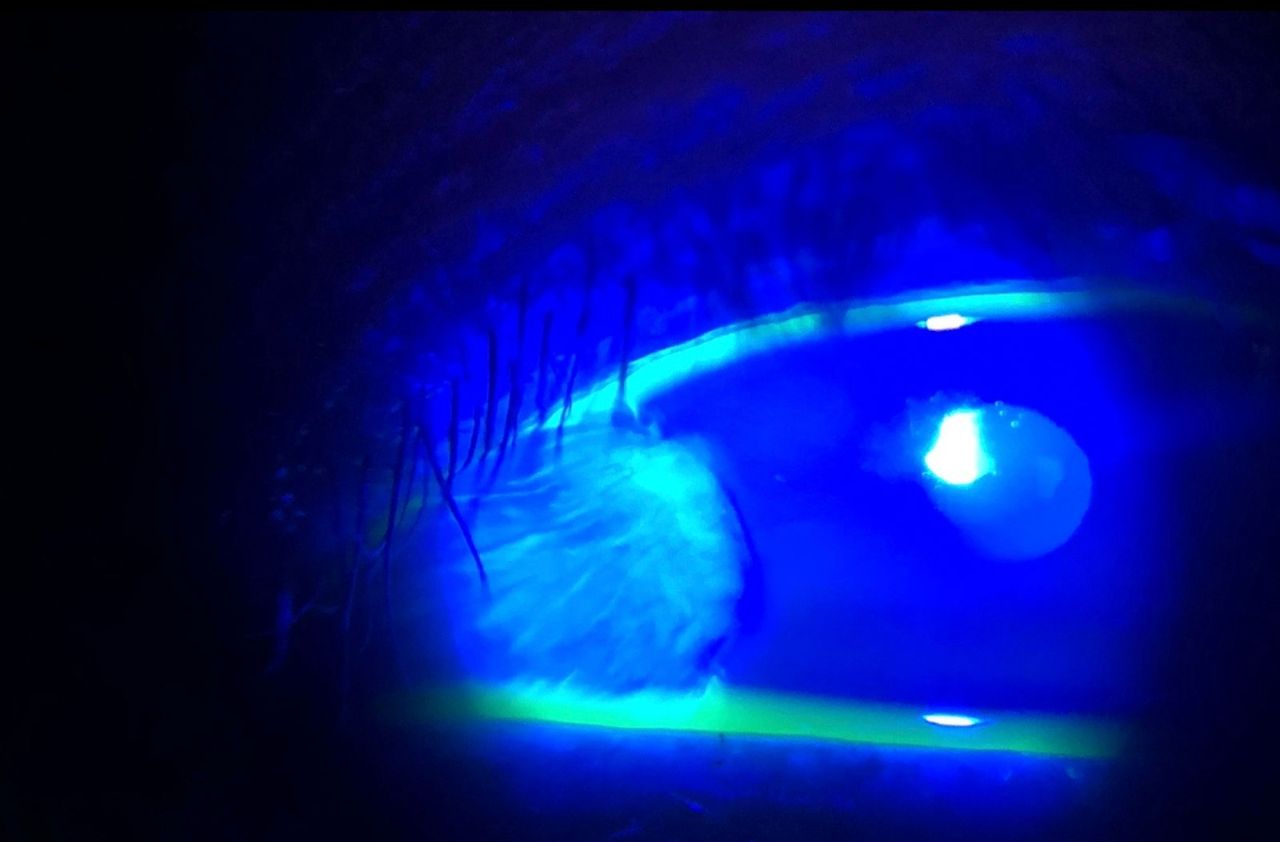 Brenda Sánchez Laguna-13