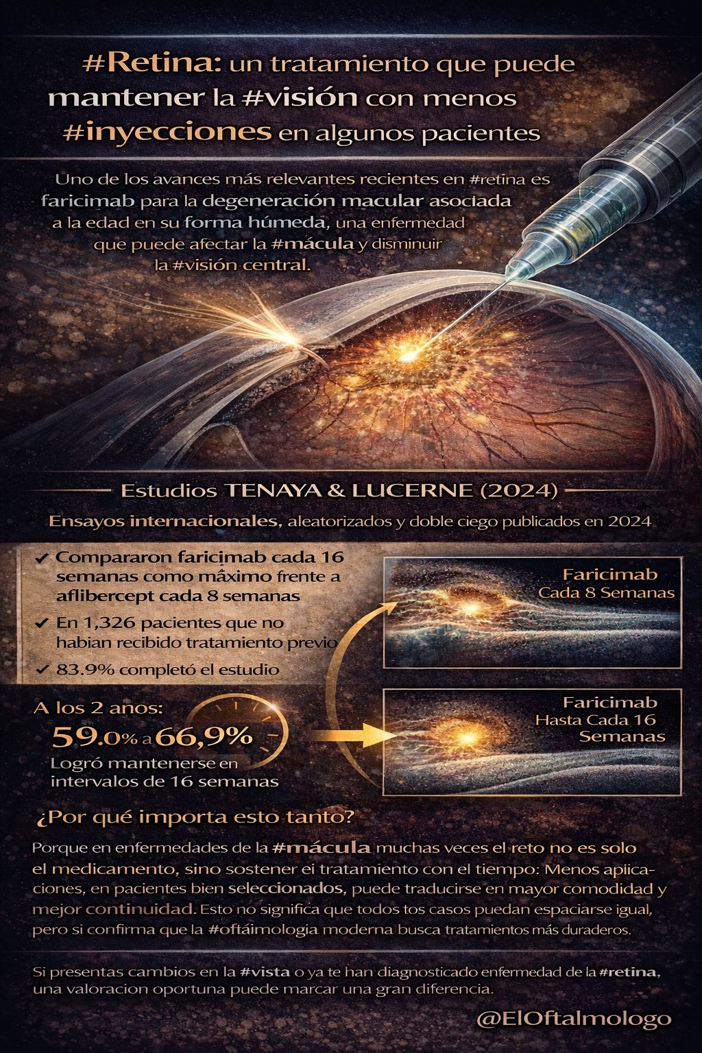 José Francisco Valdez López-11