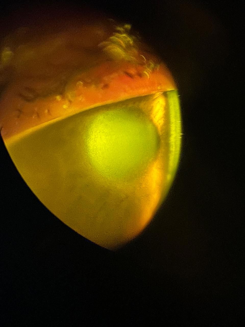 Daniel Martin Laguna Muñoz-33