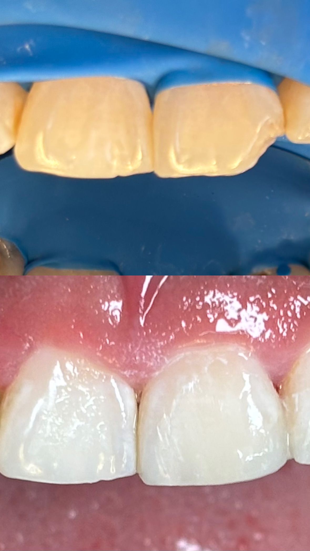 María Paula  Flores Novoa-89