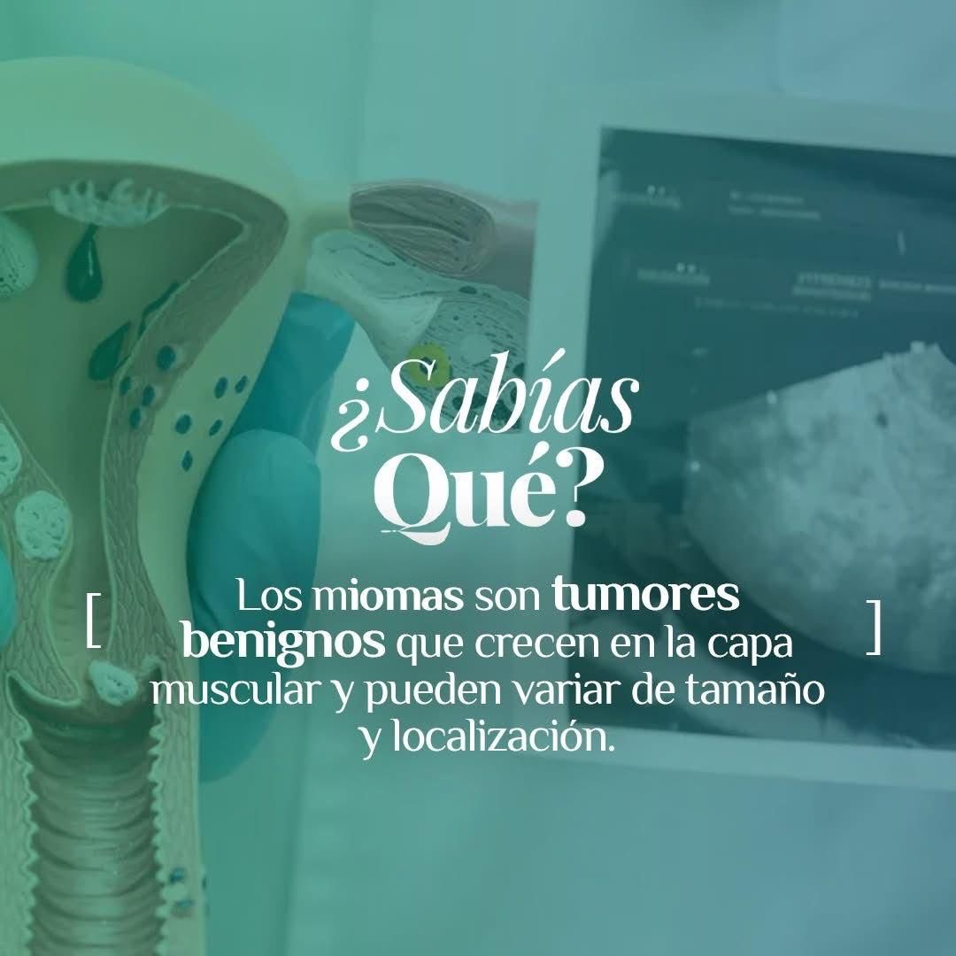 Gonzalo Hernández Martínez-54