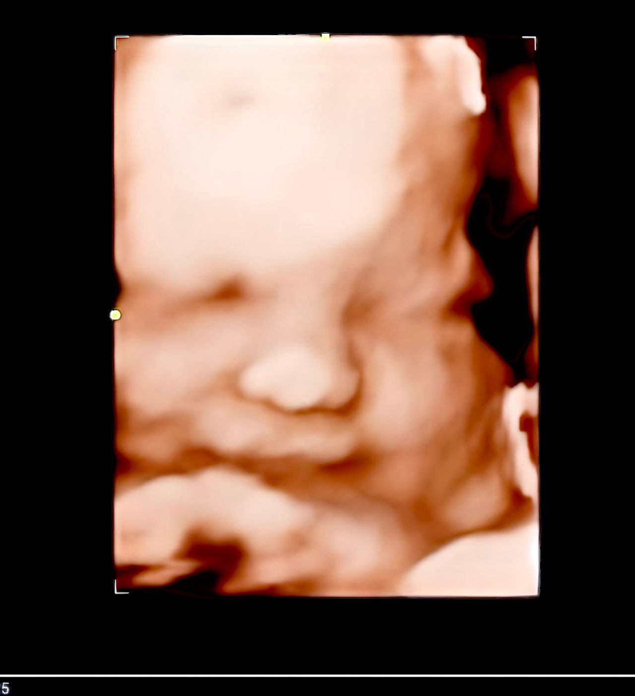 María Fernanda Sarabia Takashima-2