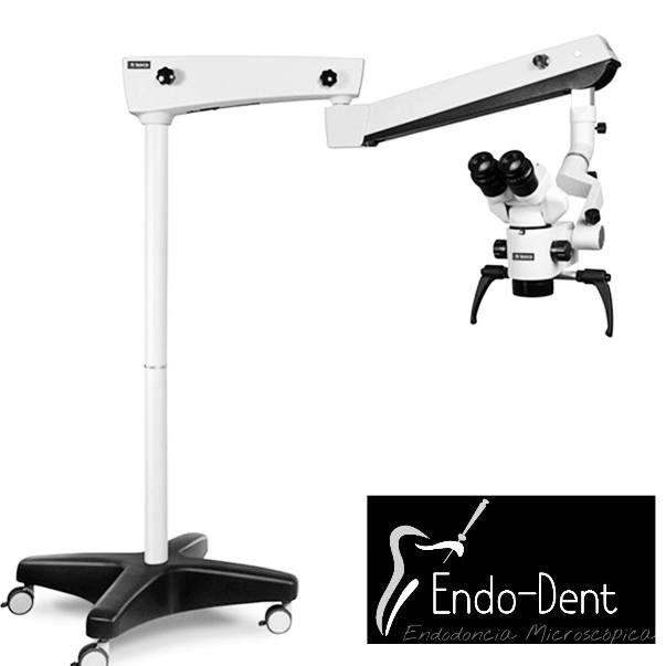 Ana Patricia García García-1