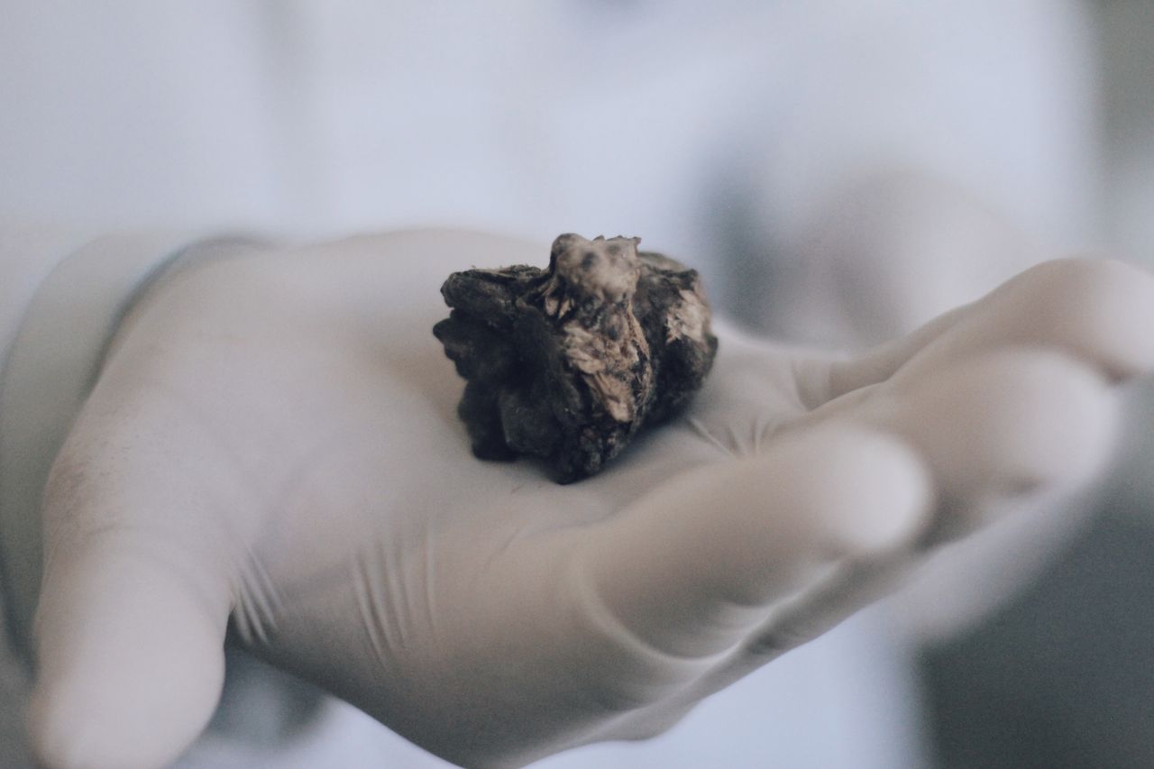 Jorge Eduardo Ojeda Pérez-20