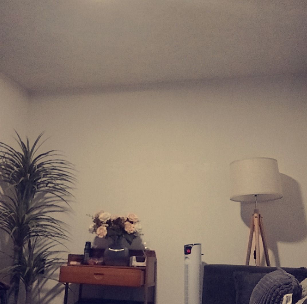 Lorena Guadalupe Valdivia Navarro-1