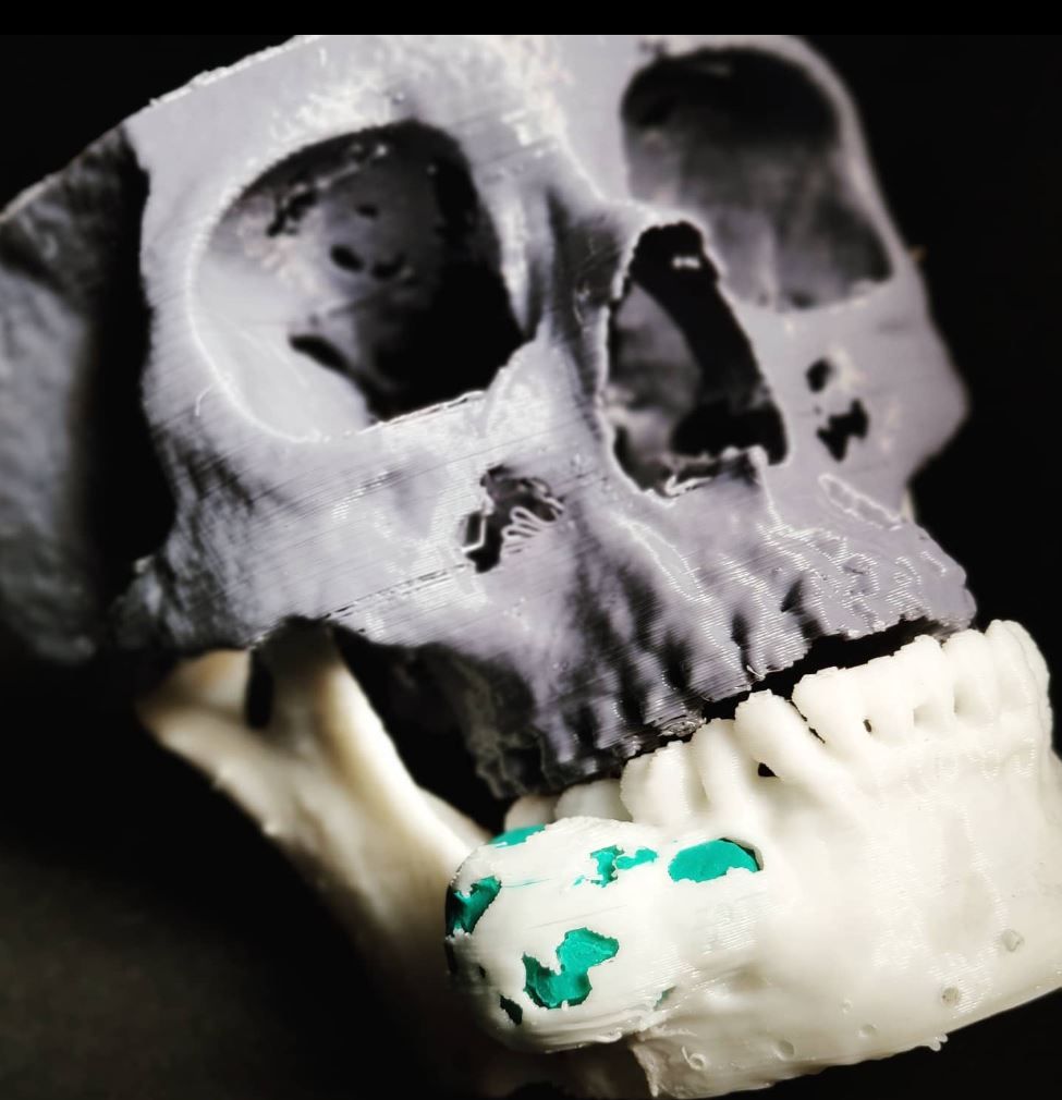 Daniel Alejandro Cantu Pedroza-7