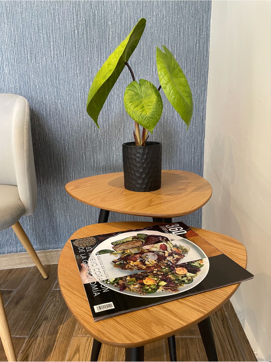 Mónica García Gómez-3