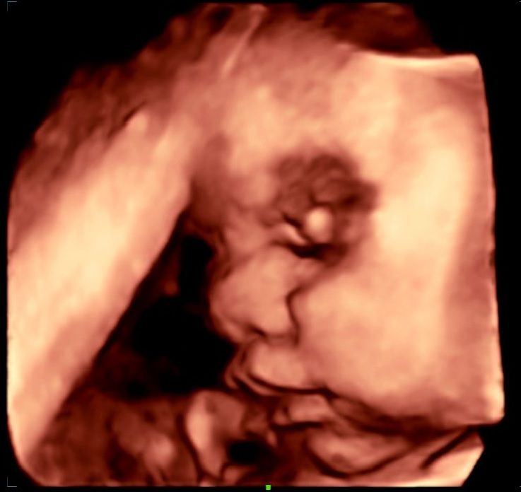 Mario López Franco-6