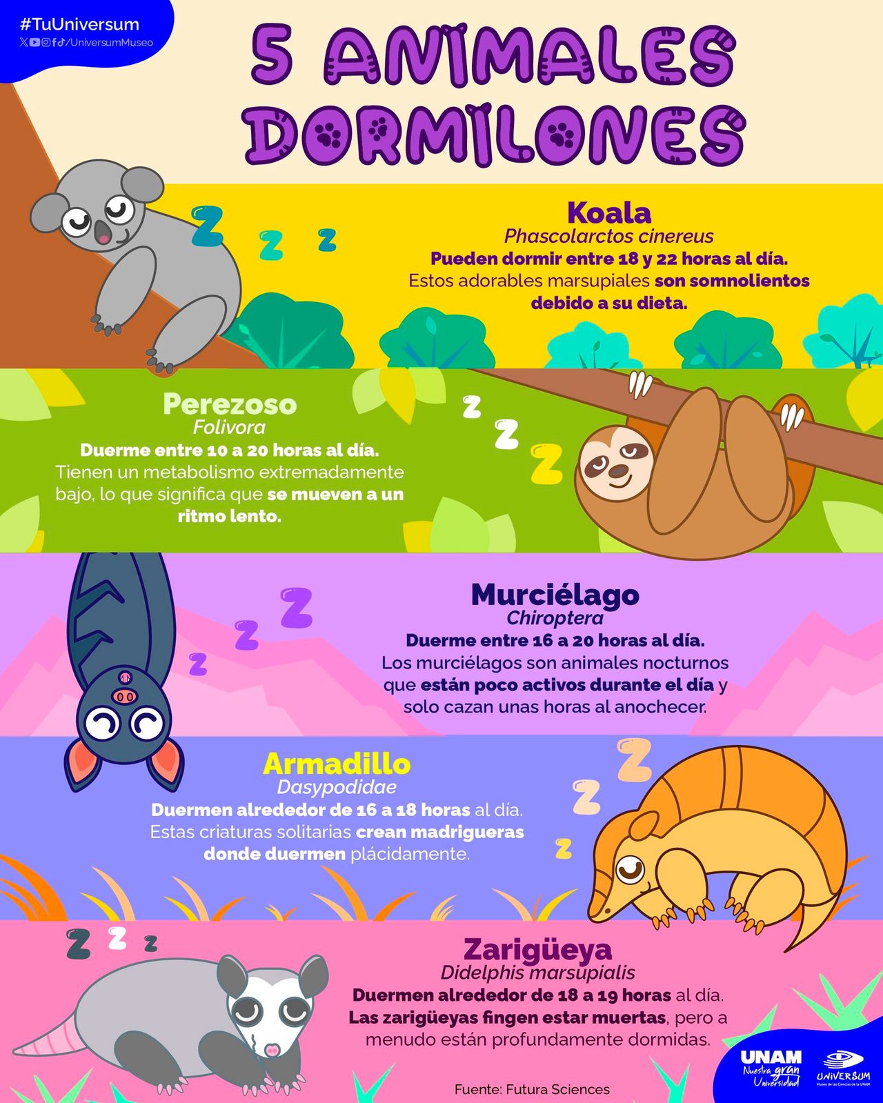 Raymundo Alejandro Cuevas Escalante-325