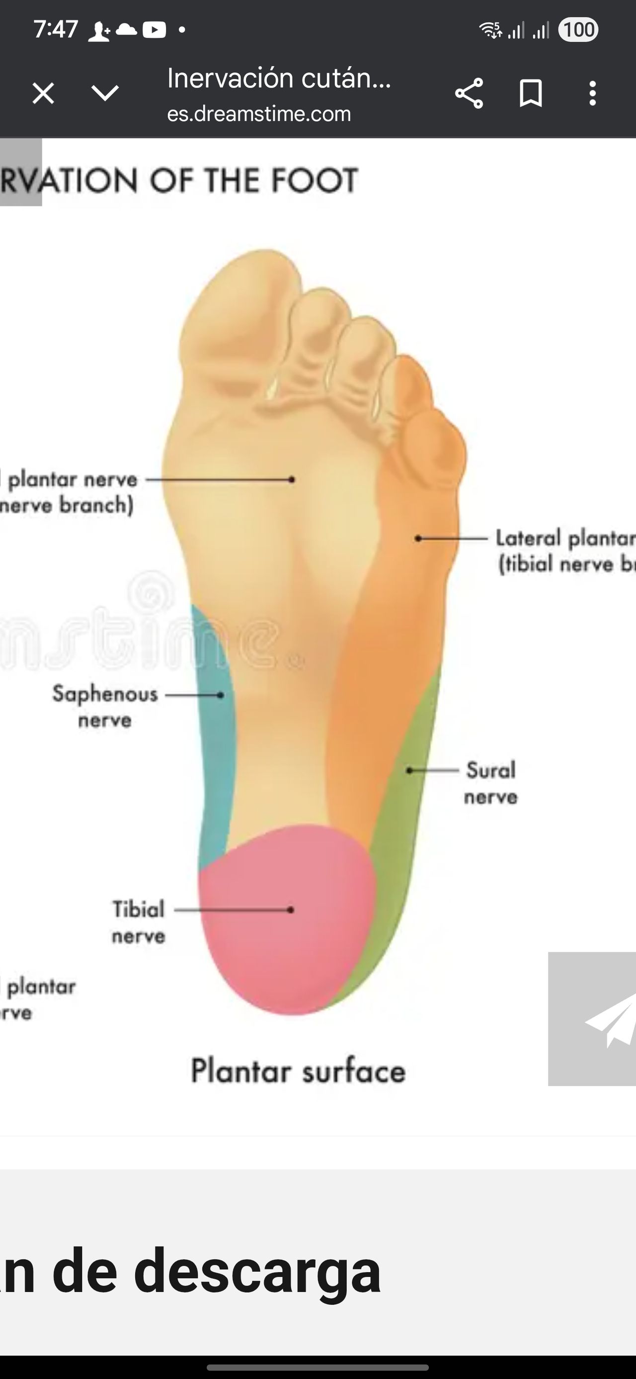 Omar De La Rocha Torres-1