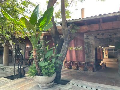 Trino José Baptista-12