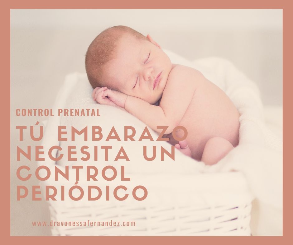 Vanessa Fernández Garcini-7