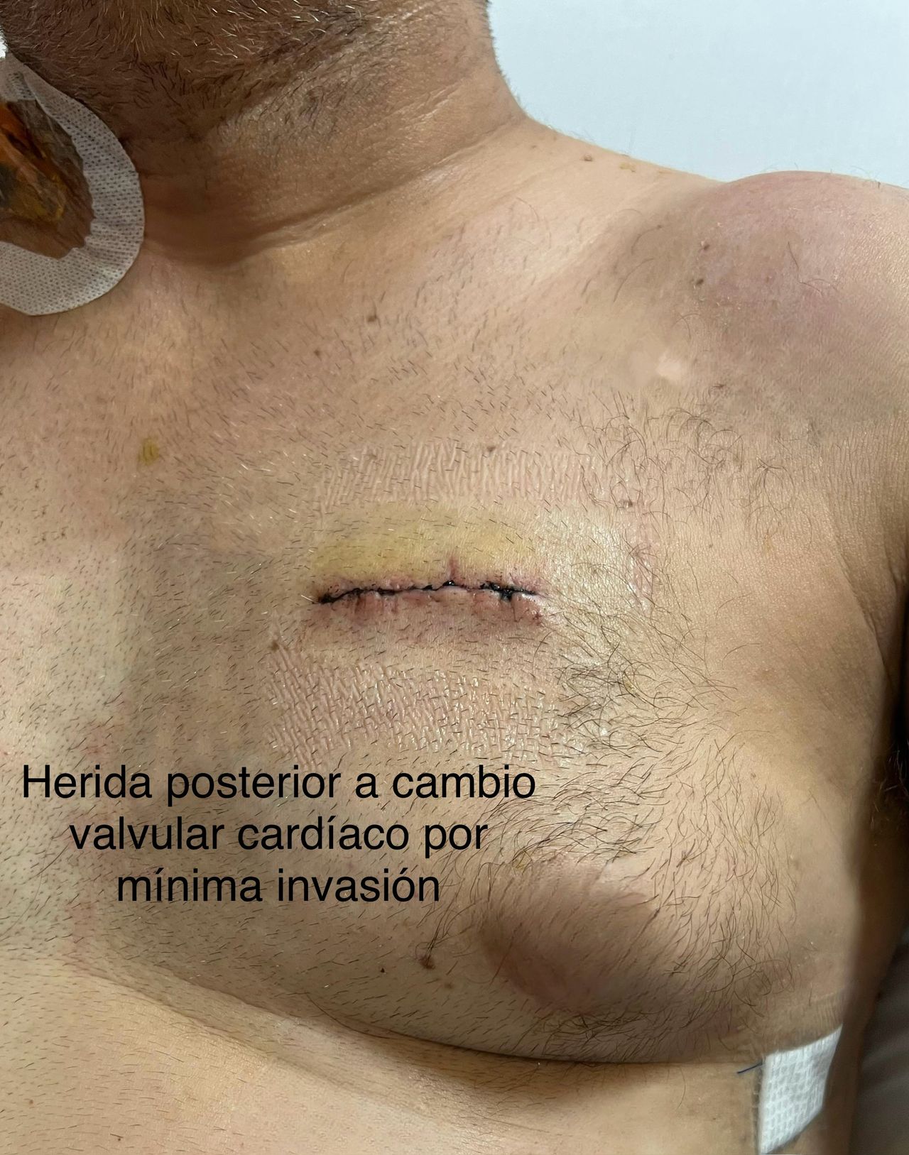 Alfredo Alejandro Paramo Lovera-4