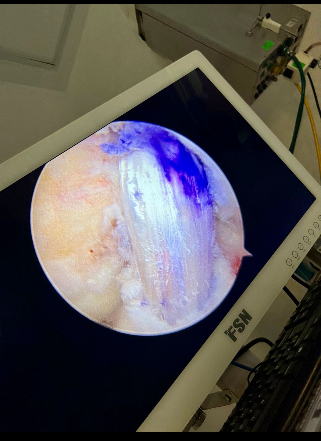 Luis Mario Montes Jimenez-16